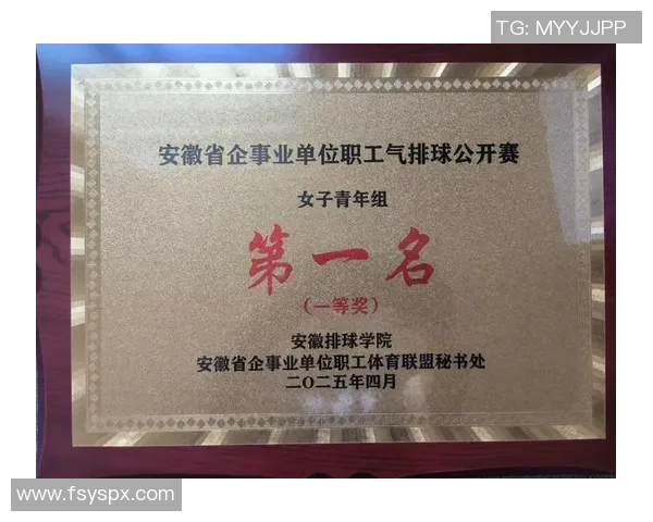 南京排球队在全国排球耐力排行榜中荣获第七名的佳绩引发关注