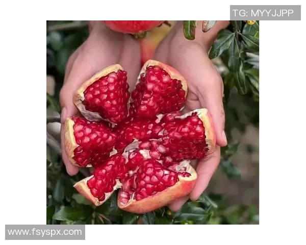 探索干足球果的营养价值与健康益处，助力运动员提升表现与恢复能力