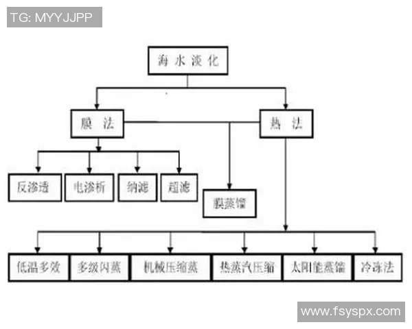足球套流水的魅力与技术解析探索这项运动的独特魅力与发展趋势